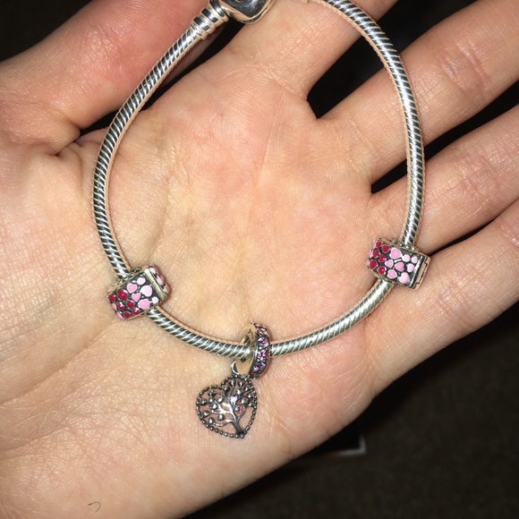 Valentine’s Day pandora charm bracelet - Picture 3 of 3